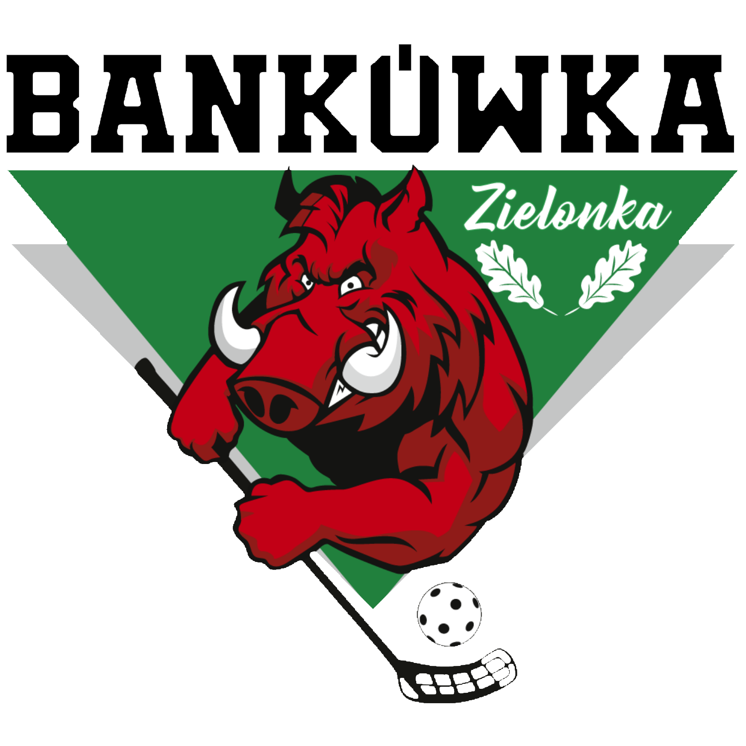 Klub Sportowy UKS Bankówka Zielonka